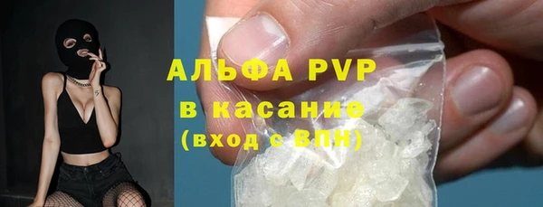 стаф Алексин