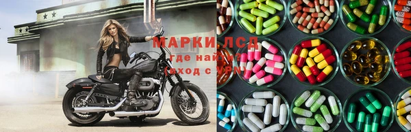 стаф Алексин