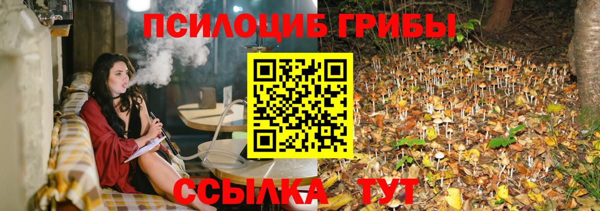 Псилоцибиновые грибы Magic Shrooms Ипатово