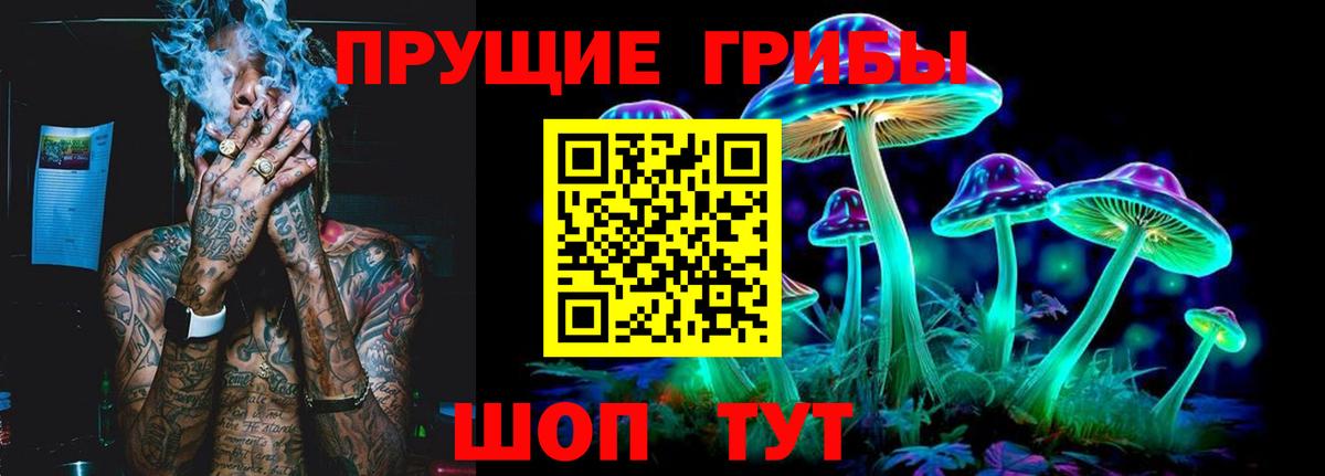Галлюциногенные грибы Psilocybe  Вход с VPN  Ипатово 